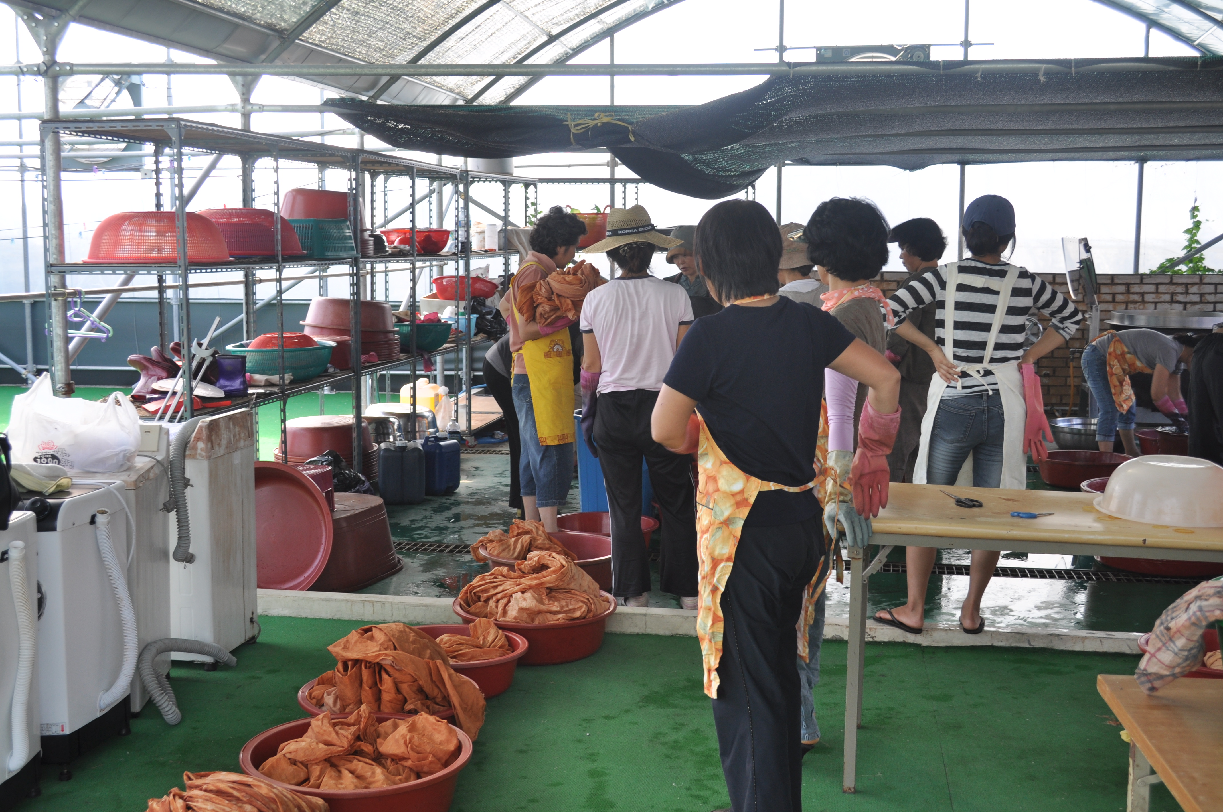 천연염색 기술교육(6회차, 복합염색)